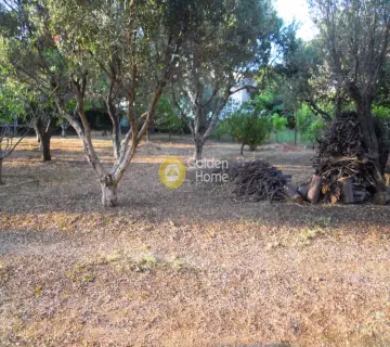 Residential 922m<sup>2</sup> for sale photo 5
