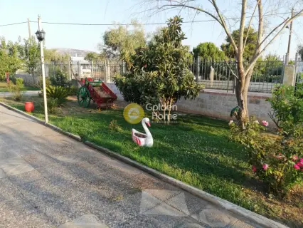 Μονοκατοικία 360τ.μ. προς πώληση φωτογραφία 8
