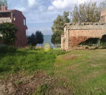 Residential 750m<sup>2</sup> for sale photo 3
