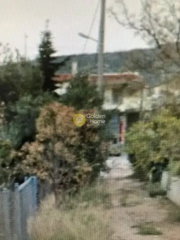 独立建筑 880m<sup>2</sup> for sale photo 3