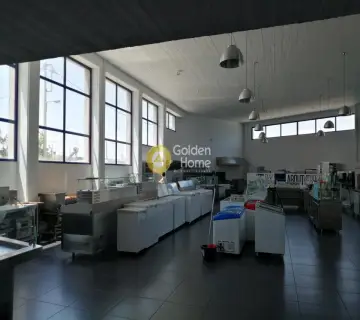 Αυτόνομο Κτίριο 2300τ.μ. προς πώληση φωτογραφία 4