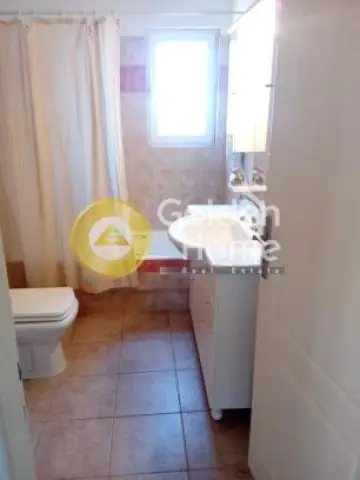 Μονοκατοικία 300τ.μ. προς πώληση φωτογραφία 33