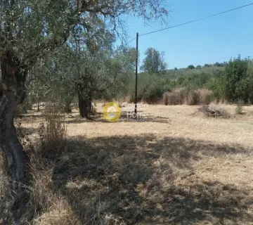 Residential 5978m<sup>2</sup> for sale photo 1790454