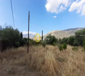 Αγροτεμάχιο 1400τ.μ. προς πώληση φωτογραφία 2209642