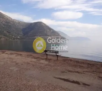 Αγροτεμάχιο 4240τ.μ. προς πώληση φωτογραφία 1791141