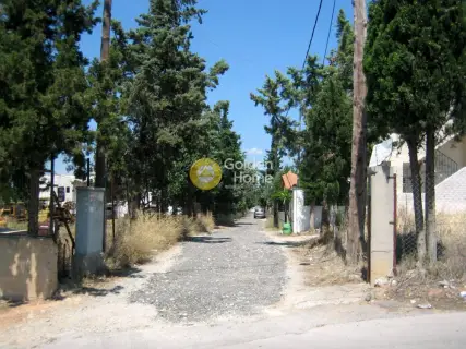 Home 316m<sup>2</sup> for sale photo 29