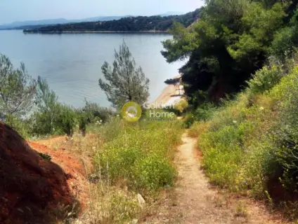 Home 316m<sup>2</sup> for sale photo 3