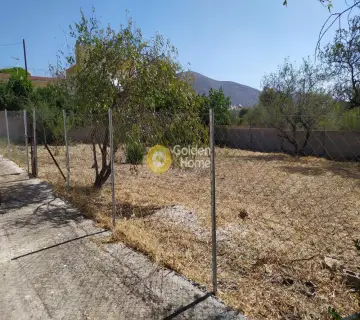 Residential 318m<sup>2</sup> for sale photo 3