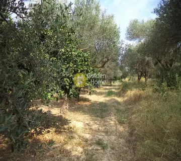Parcel 2680m<sup>2</sup> for sale photo 2