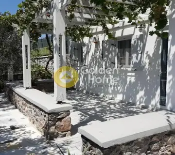 Μονοκατοικία 275τ.μ. προς πώληση φωτογραφία 1