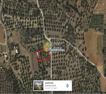 Golden Home Property Image