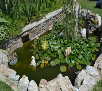 Golden Home Property Image