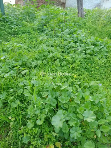 Residential 250m<sup>2</sup> for sale photo 2