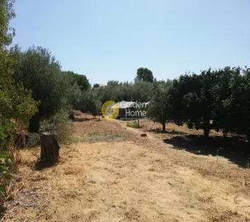 House 60m<sup>2</sup> for sale photo 4
