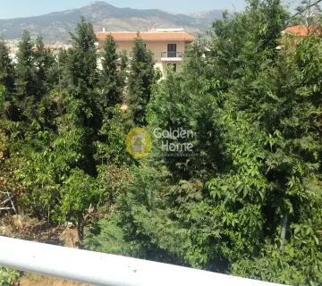 Αυτόνομο Κτίριο 330τ.μ. προς πώληση φωτογραφία 14