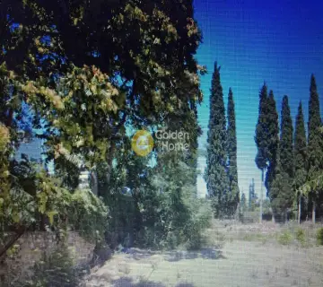 Residential 1170m<sup>2</sup> for sale photo 1