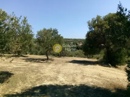 Area 10700m<sup>2</sup> for sale photo 8
