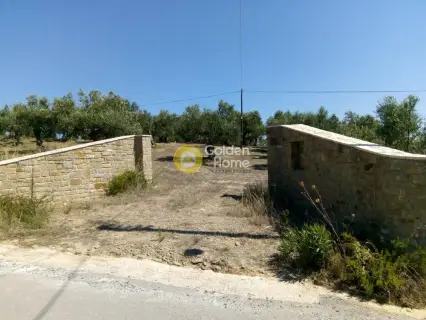 Area 10700m<sup>2</sup> for sale photo 5