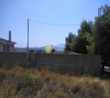 Residential 647m<sup>2</sup> for sale photo 6