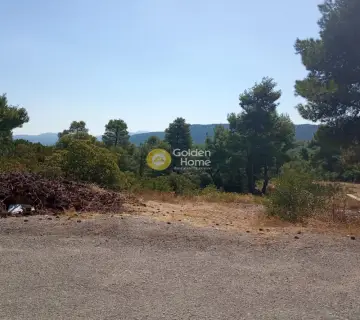 Residential 2172m<sup>2</sup> for sale photo 2