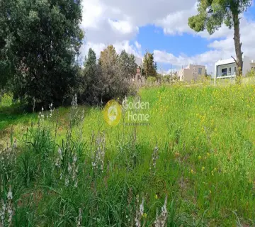 Residential 700m<sup>2</sup> for sale photo 3