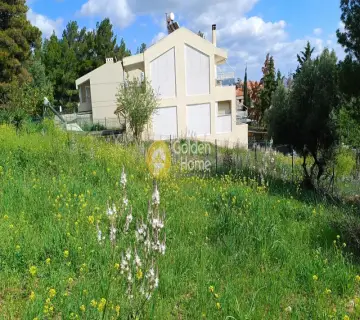 Residential 700m<sup>2</sup> for sale photo 4