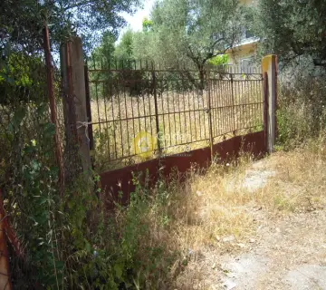 Residential 6000m<sup>2</sup> for sale photo 1