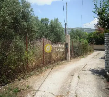 Residential 6000m<sup>2</sup> for sale photo 4