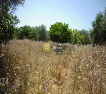 Residential 6000m<sup>2</sup> for sale photo 5