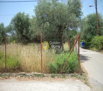 Residential 6000m<sup>2</sup> for sale photo 6