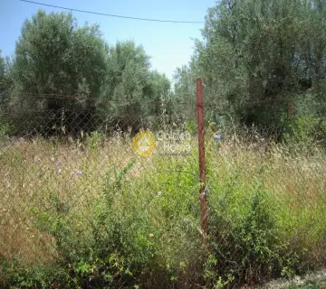 Residential 6000m<sup>2</sup> for sale photo 7