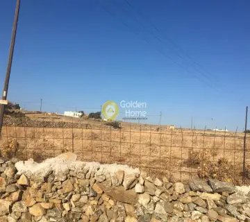 Οικιστικό 4000τ.μ. προς πώληση φωτογραφία 2
