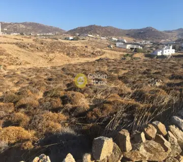 Οικιστικό 4000τ.μ. προς πώληση φωτογραφία 8
