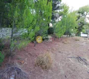 Residential 420m<sup>2</sup> for sale photo 1835157