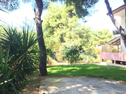 House 470m<sup>2</sup> for sale photo 3