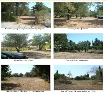 Golden Home Property Image