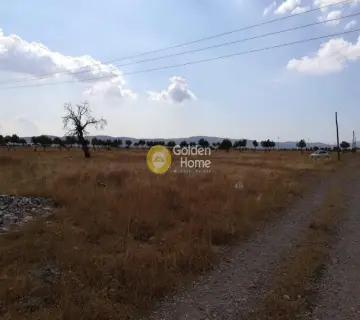 Area 7228m<sup>2</sup> for rent photo 1