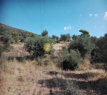 Parcel 15000m<sup>2</sup> for sale photo 1