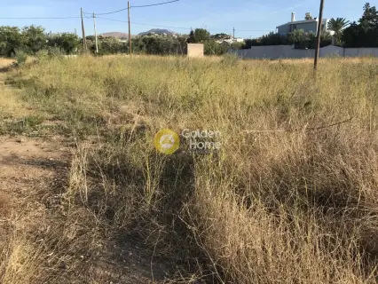 Οικιστικό 7600τ.μ. προς πώληση φωτογραφία 4