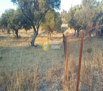 Parcel 580m<sup>2</sup> for sale photo 1849469