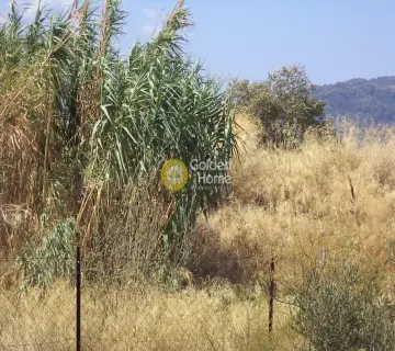 Parcel 8943m<sup>2</sup> for sale photo 1