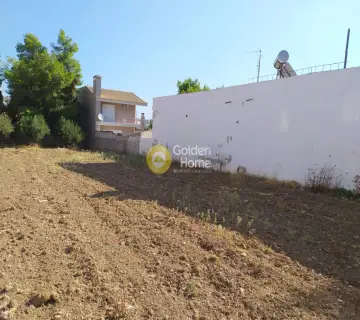Οικιστικό 1351τ.μ. προς πώληση φωτογραφία 4
