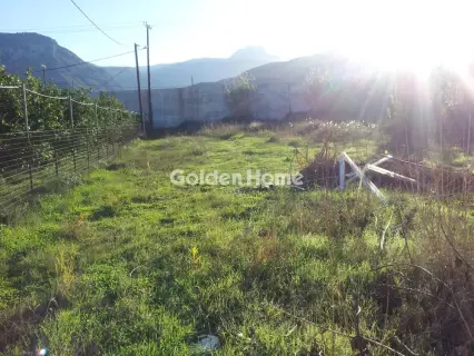Residential 1300m<sup>2</sup> for sale photo 8
