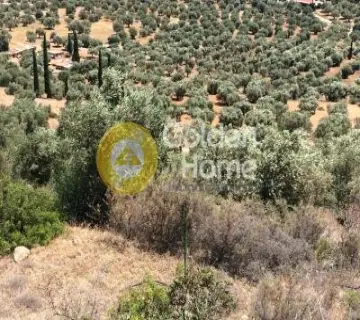 Parcel 5050m<sup>2</sup> for sale photo 2