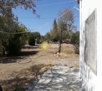 House 50m<sup>2</sup> for sale photo 14