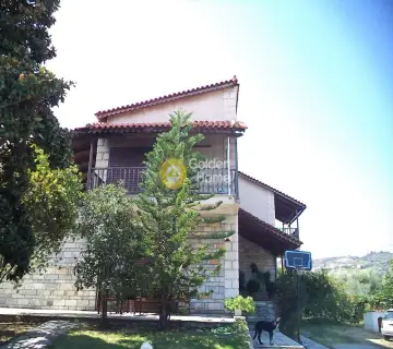 独立复式小屋 354m<sup>2</sup> for sale photo 12