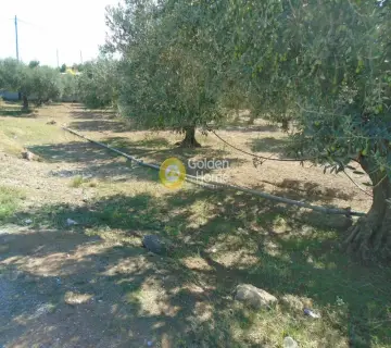 Residential 2700m<sup>2</sup> for sale photo 1875575