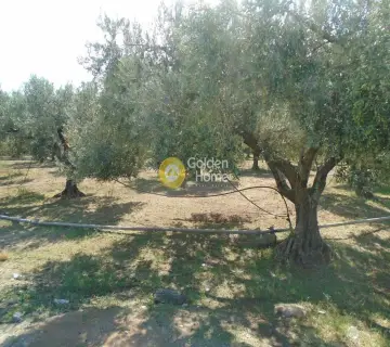 Residential 2700m<sup>2</sup> for sale photo 1875584