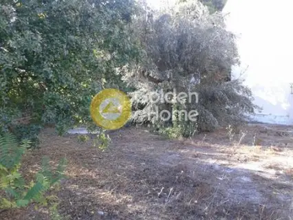 Οικιστικό 308τ.μ. προς πώληση φωτογραφία 5
