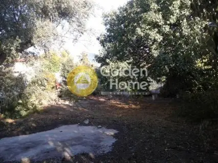 Οικιστικό 308τ.μ. προς πώληση φωτογραφία 7